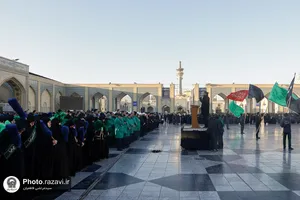 عزاداری هیئت عالم آل محمد در شهادت حضرت زهرا(س)