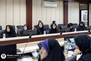 رونمایی از کتاب &laquo;الفصول المهمة فی معرفة الائمة&raquo;