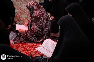 تشرف اعضای هیأت علمی دانشگاه&zwnj;های مشهد به حرم مطهر رضوی