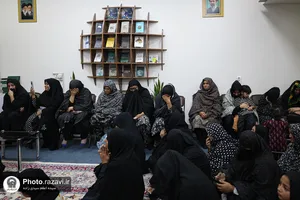 نشست تخصصی اردو&zwnj;زبانان در رواق ملل حرم مطهر رضوی