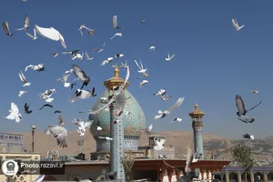 حرم شاه&zwnj;چراغ در شیراز