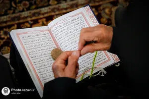 تشرف کاروان زیارتی معین الضعفا به حرم مطهر رضوی