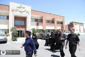 بازدید