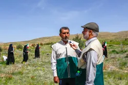 لبیک خادم‌یاران فارس به امام امت با غرس نهال در ۳۷ شهرستان
