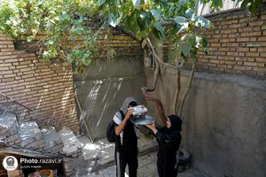 از خاک راه تا آستان رضا علیه&zwnj;السلام