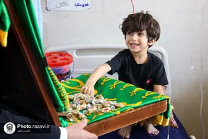 حضور کاروان زیر سایه خورشید در استان بوشهر