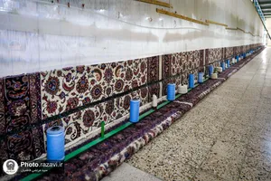 بازدید کارکنان حرم مطهر از شرکت فرش آستان قدس رضوی