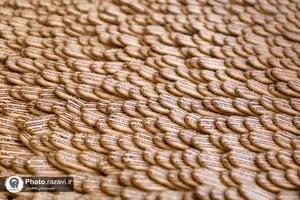 بازدید کارکنان آستان قدس رضوی از شرکت صنایع غذایی رضوی