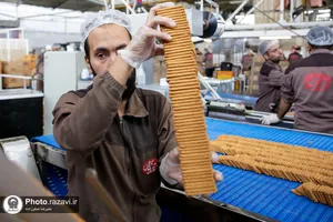 بازدید کارکنان آستان قدس رضوی از شرکت صنایع غذایی رضوی