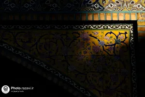 نور باشد سایه ای در پای دیوار شما