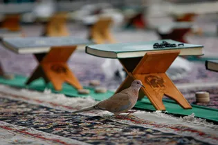 برگزاری «محفل قرآنی شهید قرآن» در رواق امام خمینی(ره)