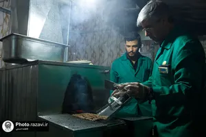 موکب کفشداران حرم مطهر رضوی در شهر ملک آباد