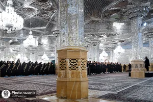 عزاداری هیئت عالم آل محمد(ع) در سالروز شهادت حضرت زهرا (س)
