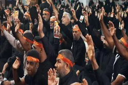 «تراکمِ اشک و عزاداری در قلب حرم رضوی؛ شب تاسوعا حسینی در پناه امام رضا (ع)»