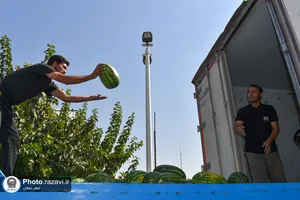 موکب&zwnj;های خدمت&zwnj;رسانی به زائرین پیاده حضرت رضا(علیه&zwnj;السلام) - 2