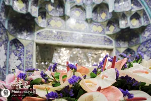 گل آرایی ضریح مطهر حضرت معصومه سلام الله علیها در آغاز دهه کرامت