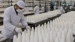 بررسی پیامد‌های آزادسازی صادرات قند، آزادسازی صادرات قند؛ فرصت یا تهدید؟!