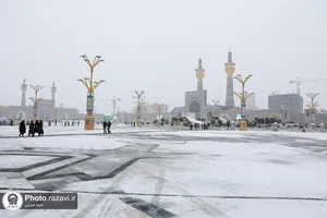 بارش برف در حرم مطهر رضوی