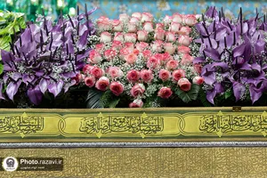 گل آرایی ضریح مطهر رضوی در دهه کرامت