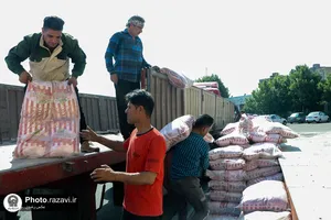 اهدا 120 تن برنج به مواکب اربعین حسینی