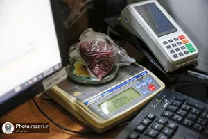 دفاتر نذورات بانوان در حرم مطهر رضوی