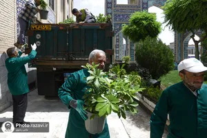 ورود کاروان گل&zwnj;های اهدایی به حرم مطهر رضوی