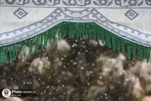 بارش برف در حرم مطهر رضوی-2
