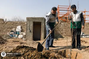 کاشت نهال مثمر در روستای بهار