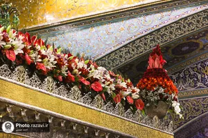 گل&zwnj;آرایی حرم مطهر رضوی در آستانه نیمه شعبان