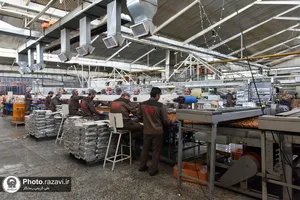 بازدید کارکنان آستان قدس از صنایع غذایی و موسسه بذر و نهال رضوی