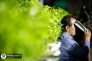 مراسم احیا شب بیست و سوم ماه مبارک رمضان در حرم مطهر رضوی - 1