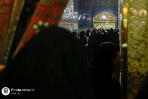 حال و هوای حرم مطهر رضوی در شب شهادت امام هادی علیه&zwnj;السلام