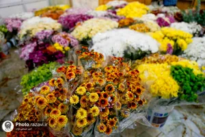 گل آرایی حرم حضرت معصومه سلام الله علیها