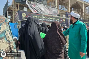 موکب امام رضا علیه&zwnj;السلام در نجف اشرف