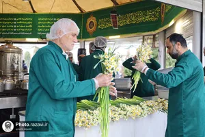 توزیع گل نرگس در چایخانه حرم مطهر رضوی