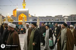 تشرف مهمانان کنگره بین&zwnj;المللی امناءالرسل به حرم مطهر رضوی
