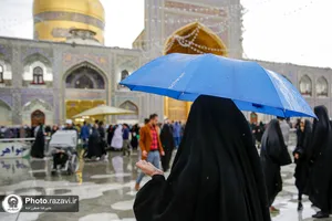 بارش باران بهاری در حرم مطهر رضوی
