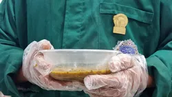 عطر نذر و اخلاص در صحن حضرت حسین بن موسی‌الکاظم (ع)
