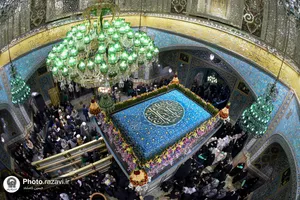 گل&zwnj;آرایی ضریح مطهر رضوی به مناسبت نیمه شعبان 