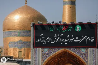 از تهران تا آرام گرفتن در آغوش امام رئوف