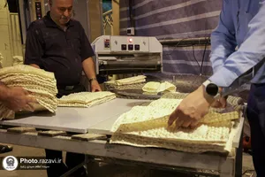 موکب انصارالحسین علیه&zwnj;السلام در حرم مطهر رضوی