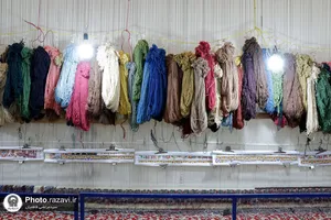 بازدید کارکنان آستان قدس رضوی از کارخانه فرش کنه بیست