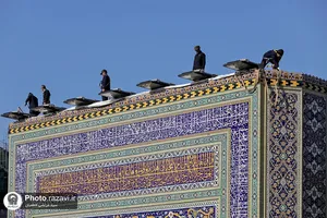 کتیبه&zwnj; های ولادت حضرت فاطمه زهرا سلام الله علیها در حرم مطهر رضوی