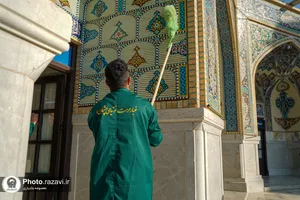 طهور رضوی