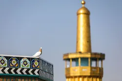 یک سلام از راه دور ما را بس