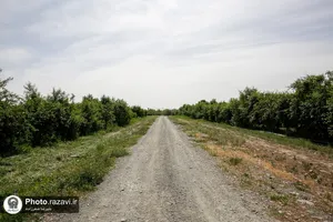 بازدید مسئولان روابط عمومی&zwnj;های آستان از موقوفات ملک در چناران