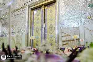گل آرایی ضریح مطهر حضرت معصومه سلام الله علیها در آغاز دهه کرامت
