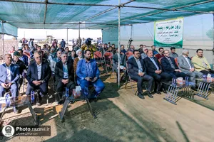 نشست مدیران و فعالان صنعت پنبه کشور