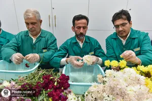 افتتاح مرکز جدید شمیم رضوان