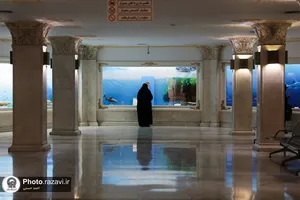 گنجینه آبزیان موزه مرکزی آستان قدس رضوی